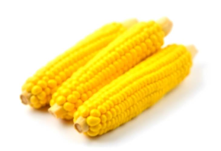 Organic Boiled Corn Cobs on White Background